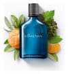 Boticário Boticollection Connexion Deo Colônia 100ml