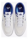 Tênis Nike Sb Malor Masculino