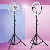 Kit Completo Ring Light Com Tripé Dimmer Youtuber Selfie Pro