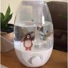 Umidificador De Ar Clear Tank 2,1 Litros Bivolt Multi Saúde Branca 110v/220v (bivolt)