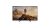 Tela 43 Pol Multiexperience Android Full HD Multi – TL069E