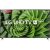 Smart TV LED 75” LG 75UN8000 Ultra HD 4K WiFi Bluetooth HDR Inteligência Artificial ThinQ AI Smart Magic Google Assistente Alexa