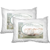 Kit Travesseiro Pena de Ganso 2 Peças – Casa & Conforto