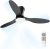 Ventilador de Teto com Controle Remoto Silencioso 6 Velocidades Função Reversa LED 21W Ajustável com Memória Moderno 220V/110V, Preto