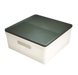 Caixa Organizadora Média com Tampa Soul, PROTÊA, 3082.GV.0006, Nude/Verde