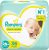 Fralda Pampers Premium Care RN+ – 36 fraldas