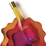 5 Desodorante Colônia Loucuras de Humor Feminino – 75ml