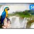 Smart TV 4K HQLED 50” JVC LT-50MB708 Android – Wi-Fi Bluetooth HDR 4 HDMI 3 USB