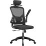Cadeira de escritório ergonômica com estofado de mesh (Preto)